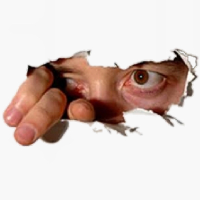 Qsswh's Avatar