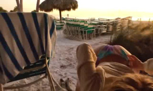 Trippie Bri porn Video blowjob beach