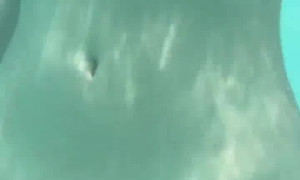 Catsara show porn Underwater -video porn