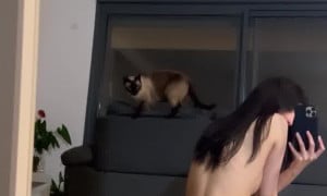 YaelCohen - Yaelaris Nude Hot BOOTY - Naked Video