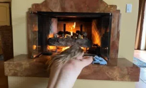 Grace Charis Fireplace Striptease  Video 