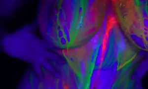 Tessa Fowler Full Nude Neon Body Paint Video 