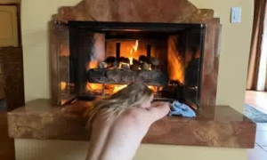 Grace Charis Fireplace Striptease  Video 