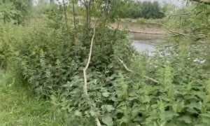 Ariesiatv River Sextape Canoe Trip PPV Video Leaked